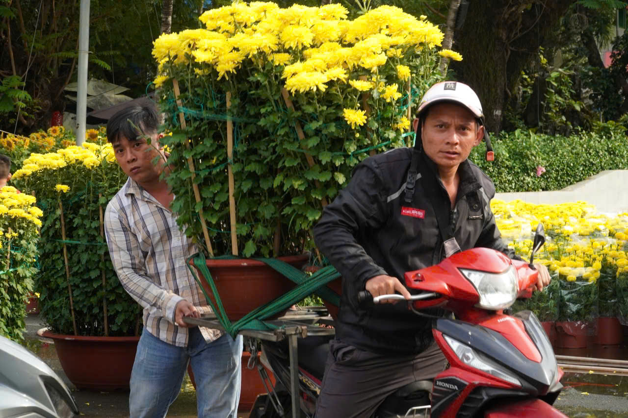 "Mang Tết về nhà" từ những chợ hoa công viên 2 Mang Tết về nhà từ những chợ hoa công viên - Ảnh 2.