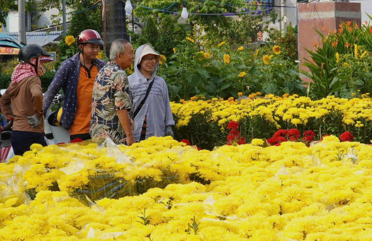 "Mang Tết về nhà" từ những chợ hoa công viên 3 Mang Tết về nhà từ những chợ hoa công viên - Ảnh 3.