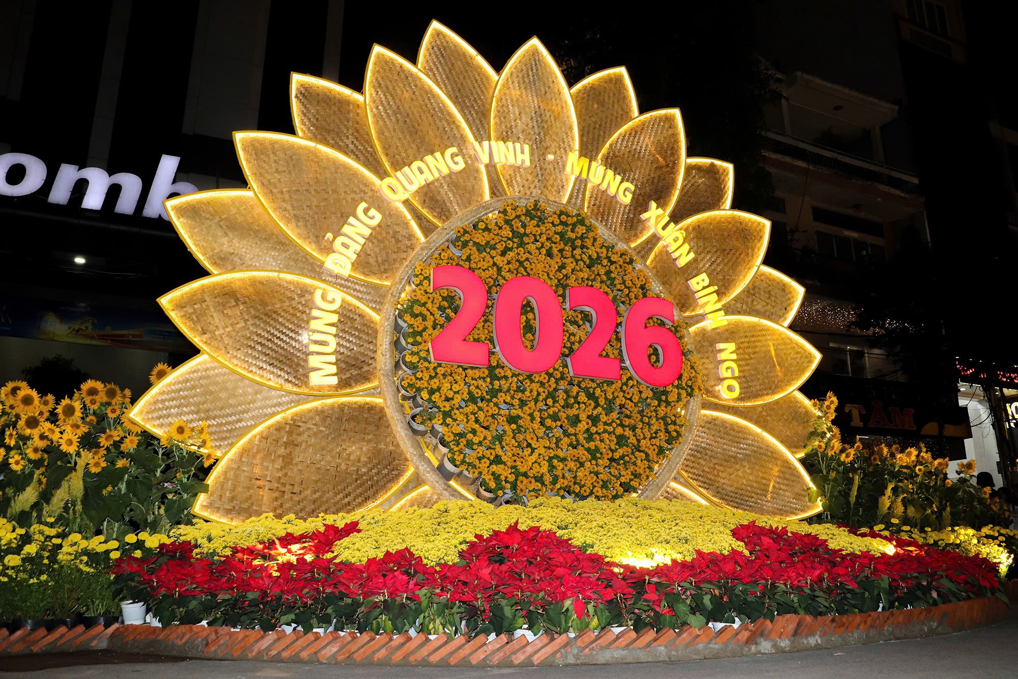 Cần Thơ: Đường hoa nghệ thuật dài hơn 300m mở cửa đón khách- Ảnh 4.