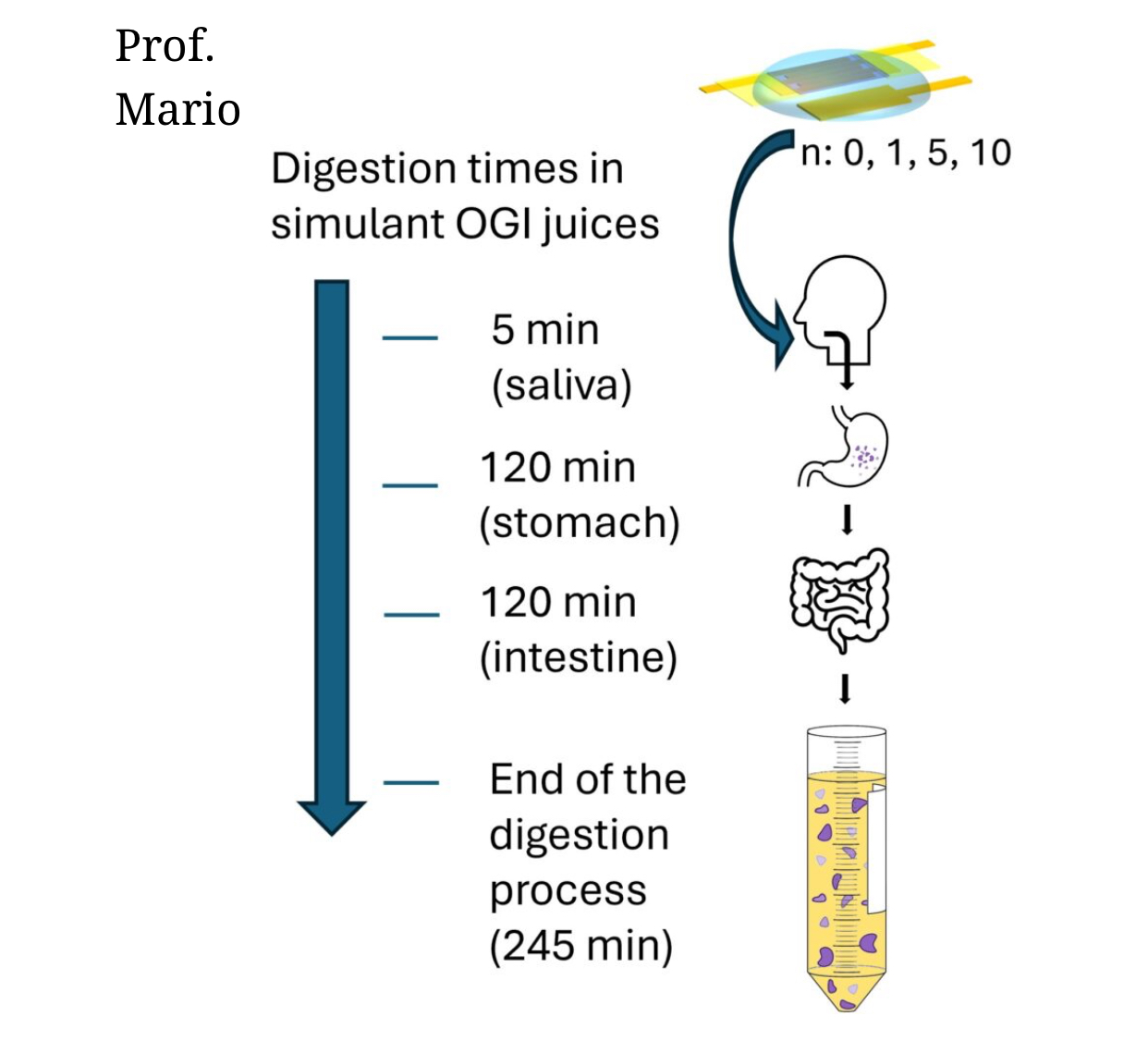 Thiết bị điện tử có thể... ăn được- Ảnh 1.