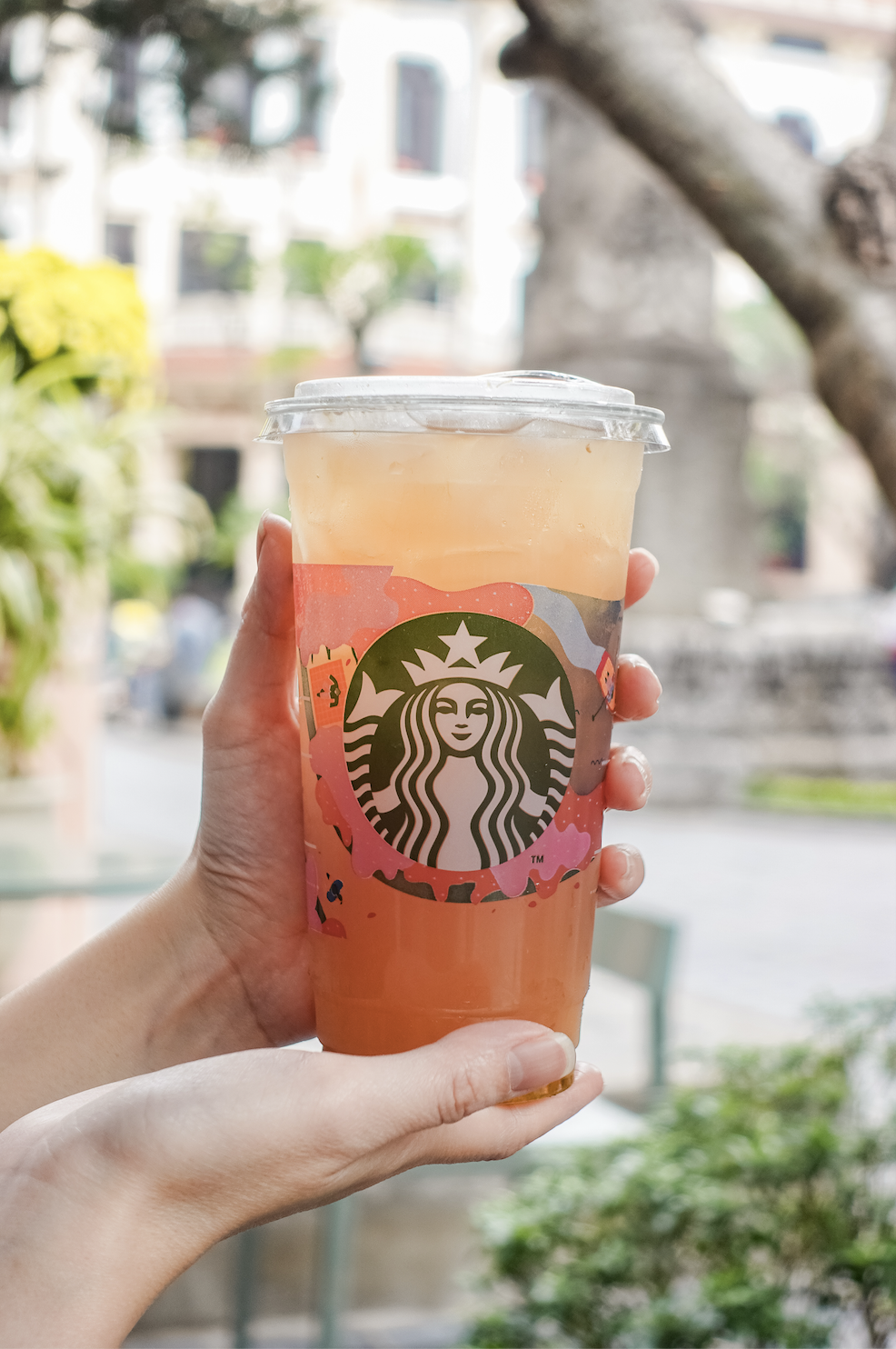 Bỏ 99.000 đồng để uống cốc trà cúc tắc muối của Starbucks, có thật sự 