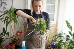 Ba công việc ngày Tết hao calo ngang tập gym