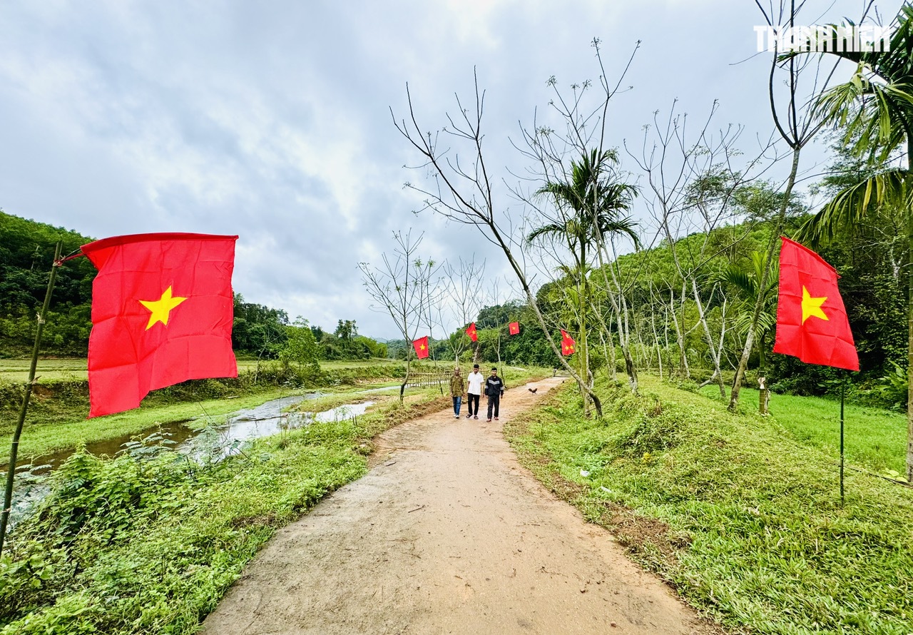 Tết về ở tổ dân cư '5 không' giữa đại ngàn Quảng Ngãi- Ảnh 8.