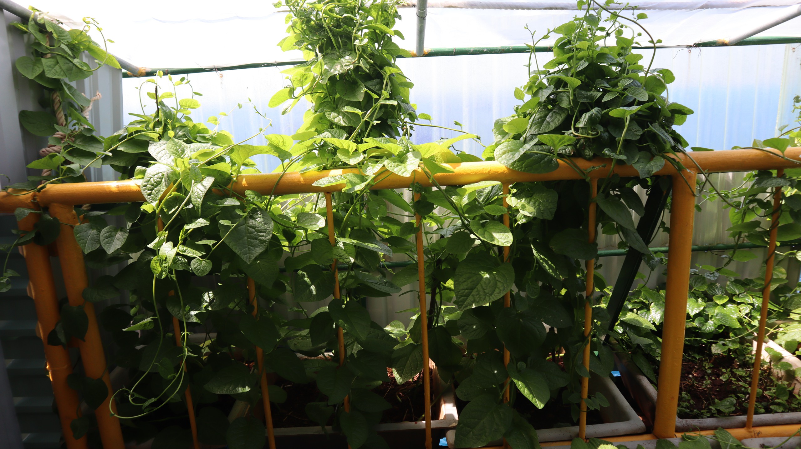 Tết của những 'cột mốc sống' trên biển, mãi vì chủ quyền Tổ quốc thiêng liêng- Ảnh 8.