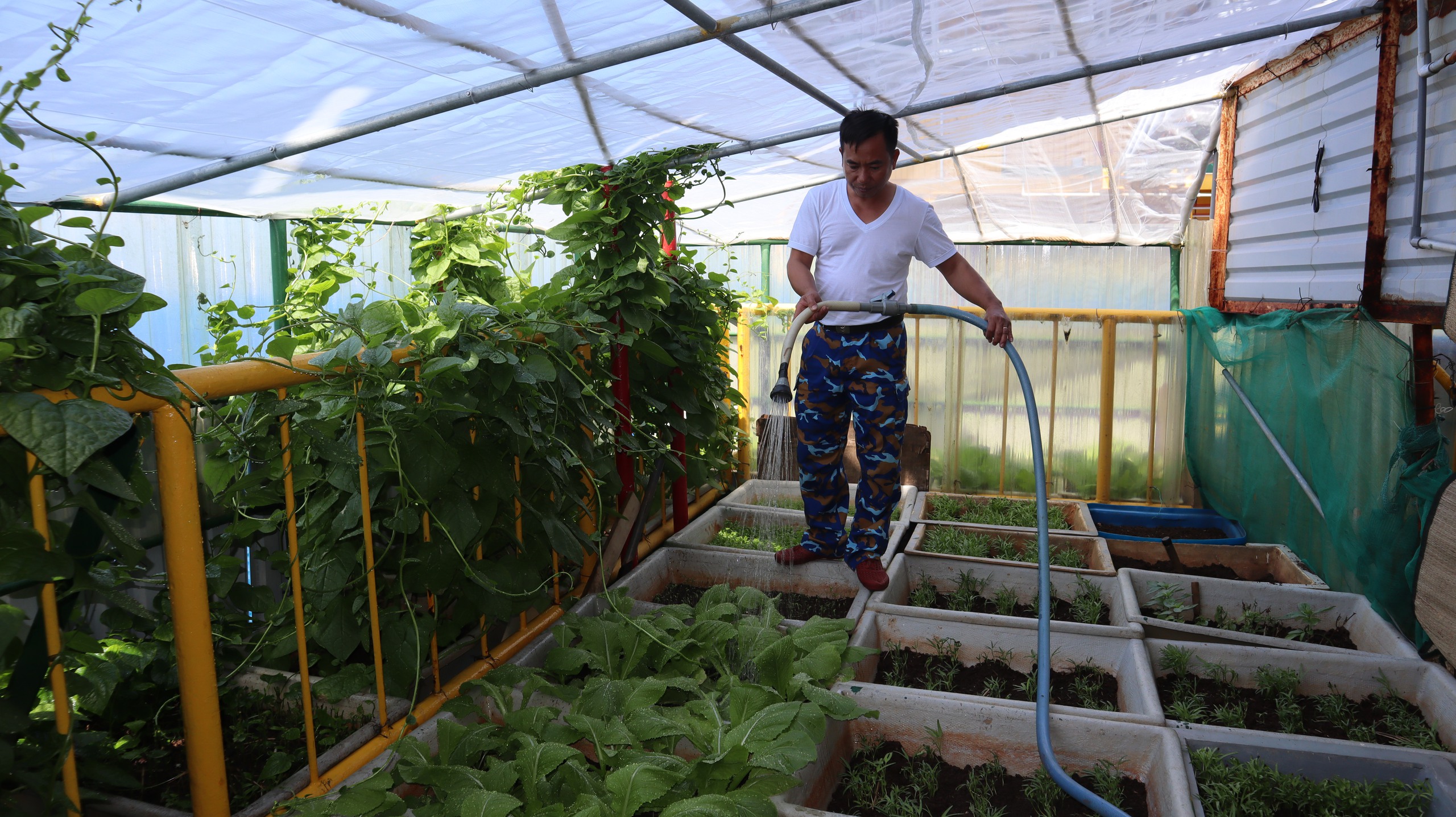 Tết của những 'cột mốc sống' trên biển, mãi vì chủ quyền Tổ quốc thiêng liêng- Ảnh 7.