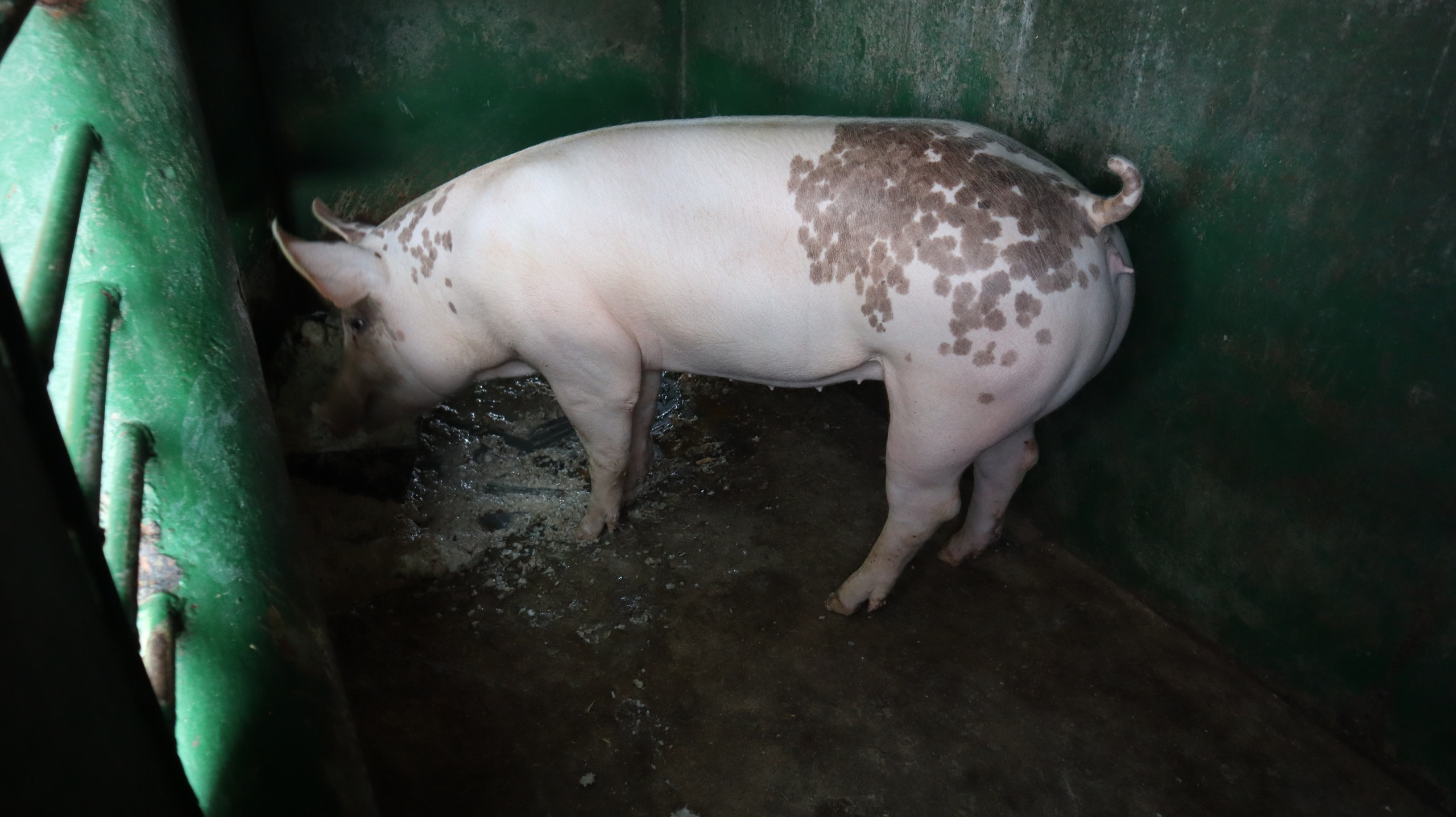 Tết của những 'cột mốc sống' trên biển, mãi vì chủ quyền Tổ quốc thiêng liêng- Ảnh 10.