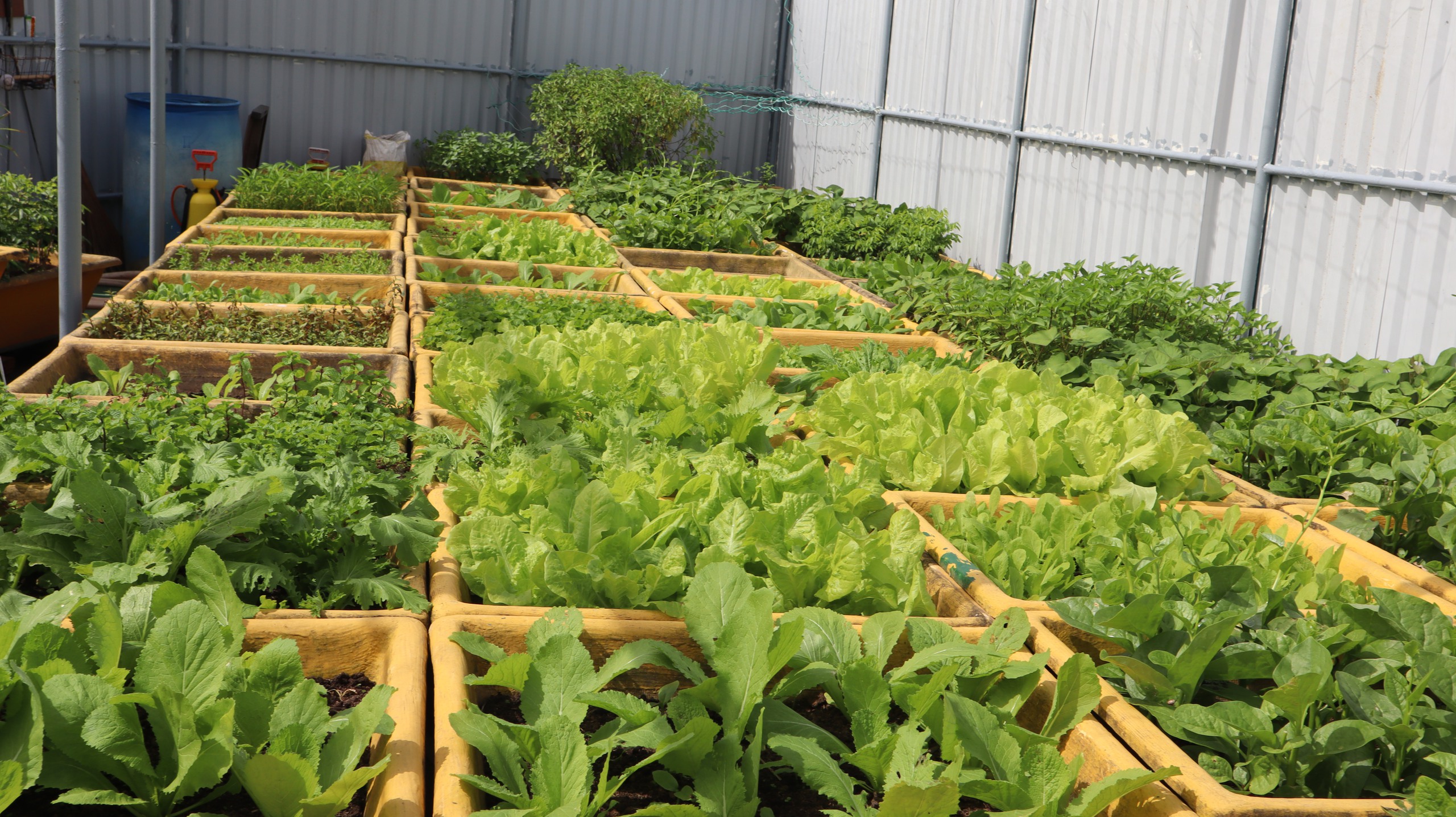 Tết của những 'cột mốc sống' trên biển, mãi vì chủ quyền Tổ quốc thiêng liêng- Ảnh 14.