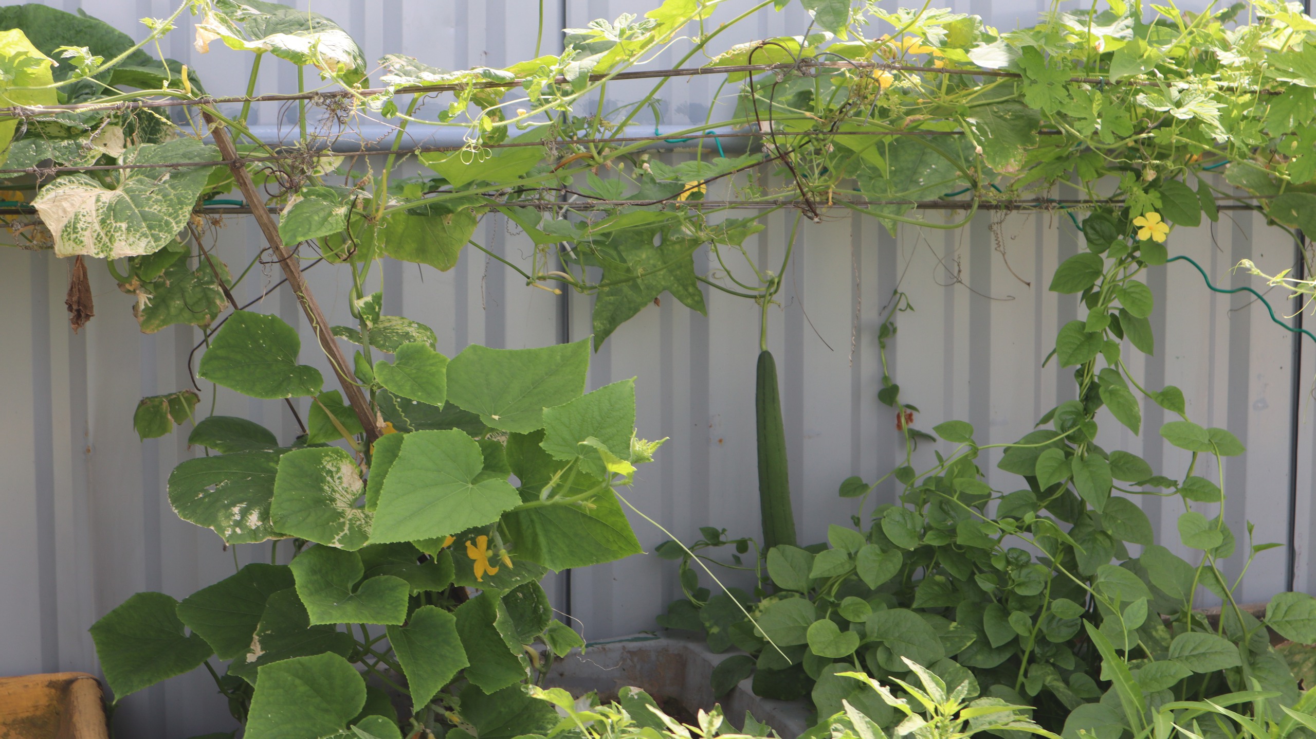 Tết của những 'cột mốc sống' trên biển, mãi vì chủ quyền Tổ quốc thiêng liêng- Ảnh 16.