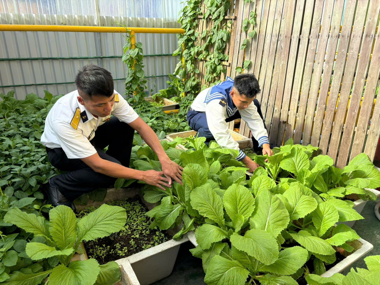 Mang Xuân ra nhà giàn DK1 4 Mang Xuân ra nhà giàn DK1 - Ảnh 4.