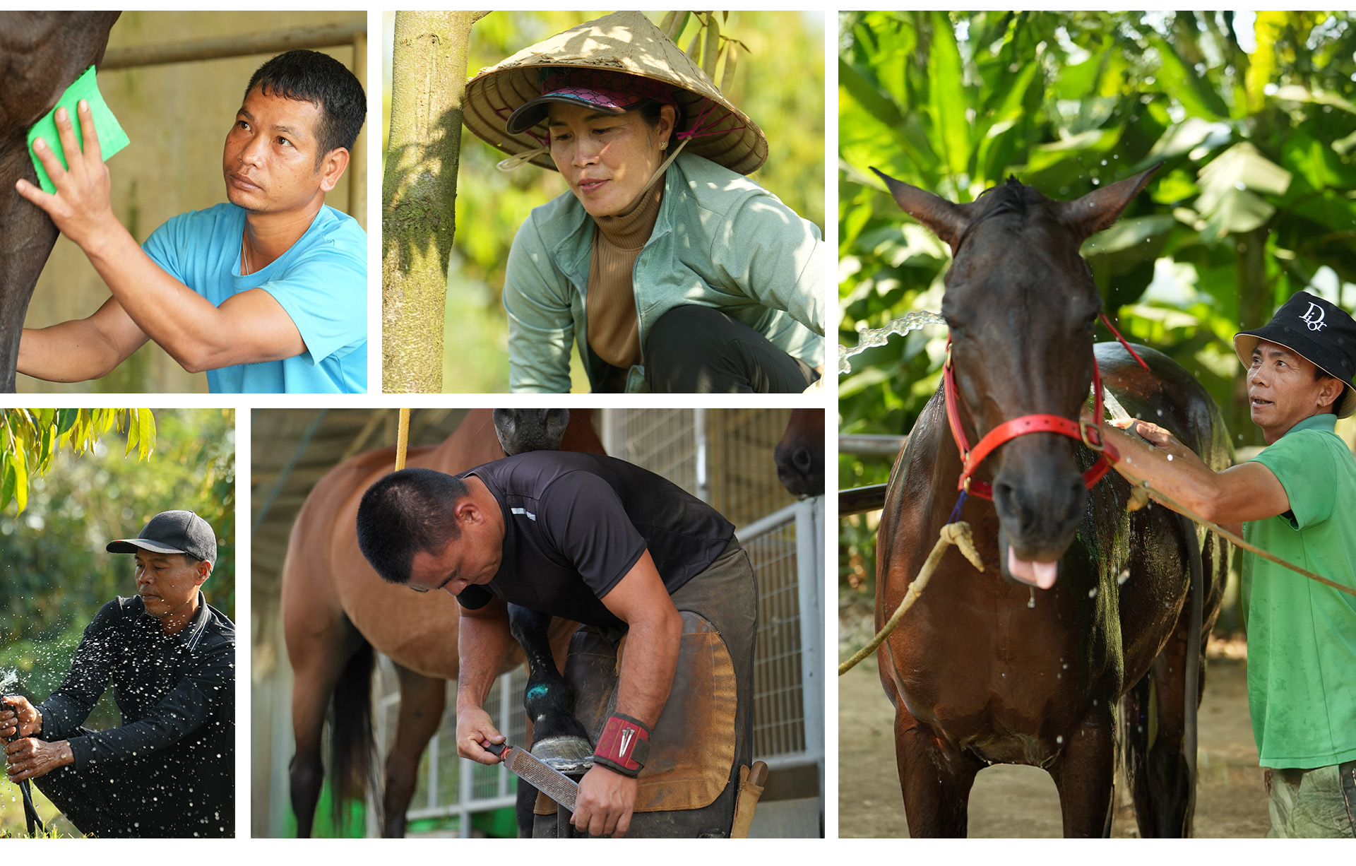 Thiên Mã Mađagui và sự chuyển mình từ gốc rễ của vùng đất Đạ Huoai - Ảnh 18.