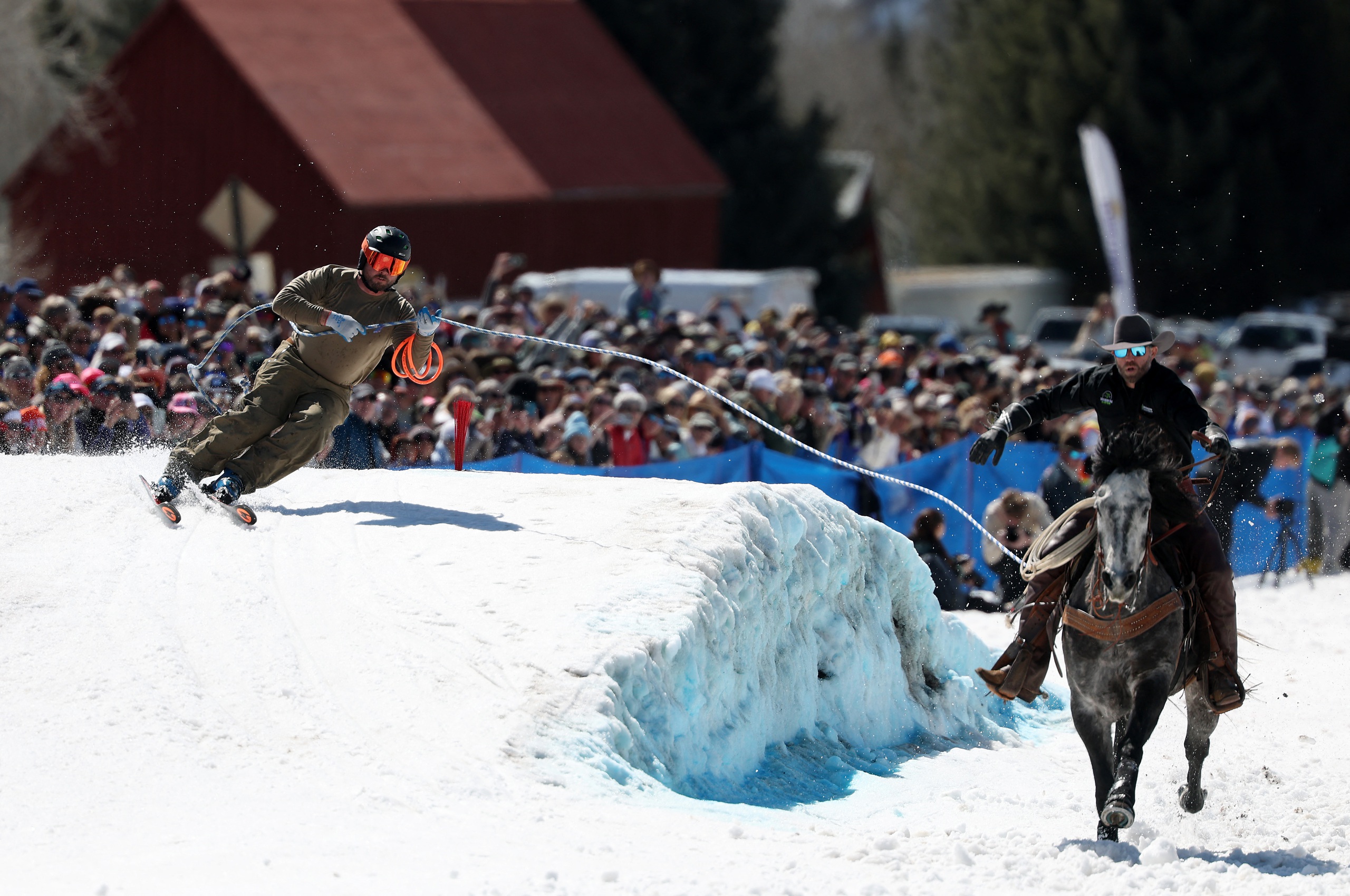 - Ảnh 2. - Ảnh 2.