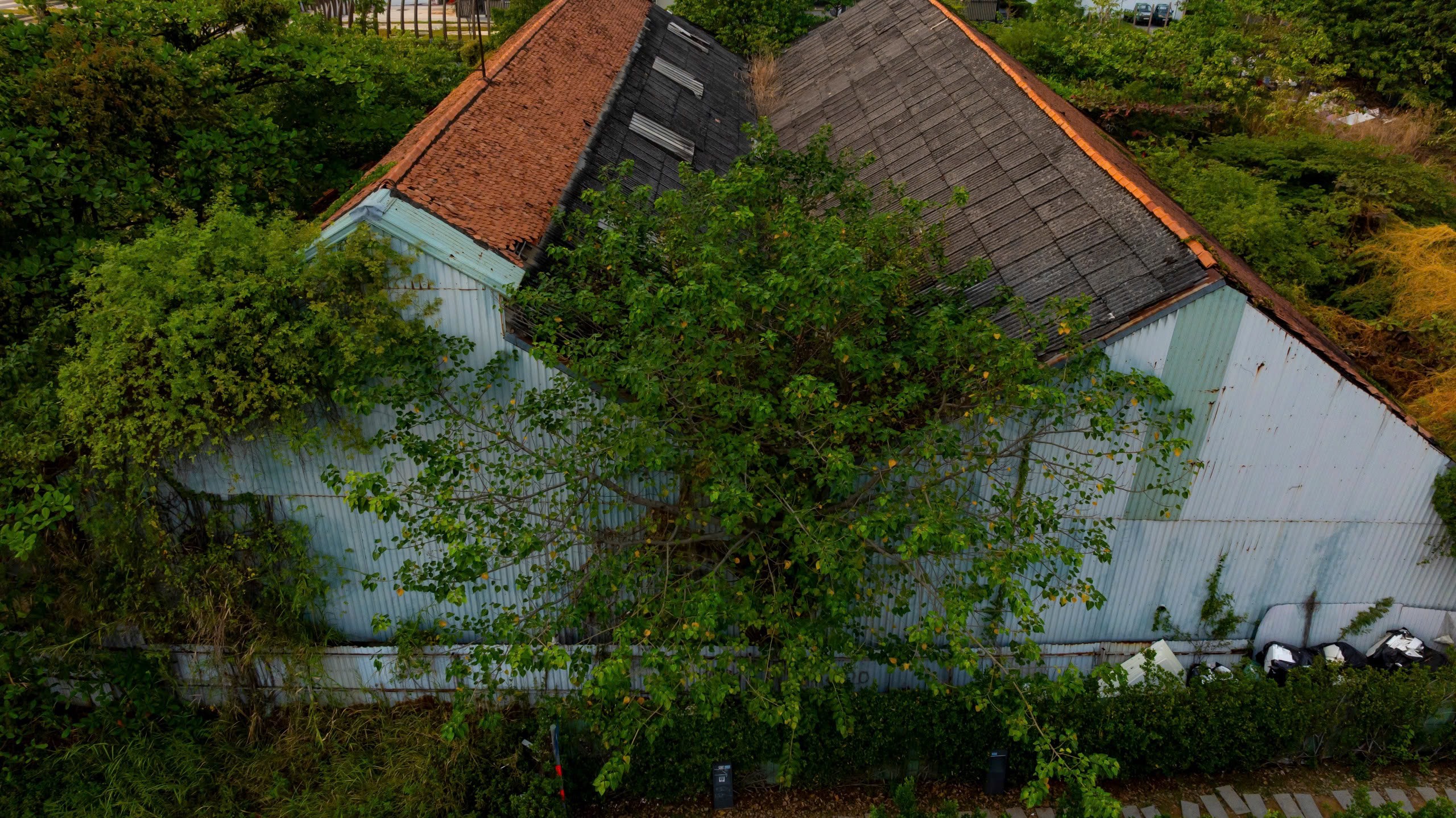 TP.HCM nhìn từ sông Sài Gòn - Kỳ 1: Lịch sử trăm năm bên dòng nước- Ảnh 9. TP.HCM nhìn từ sông Sài Gòn - Kỳ 1: Lịch sử trăm năm bên dòng nước- Ảnh 9.