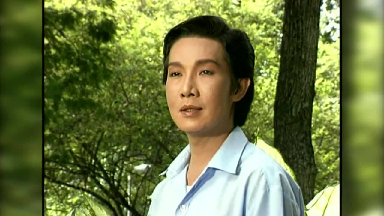 Phương Hồng Thủy, Vũ Linh hát tân cổ "Lưu bút ngày xanh"