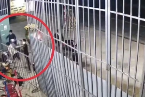 Trên đường về quê ăn Tết, nam thanh niên bị nhóm 8 người chặn chém, cướp tài sản