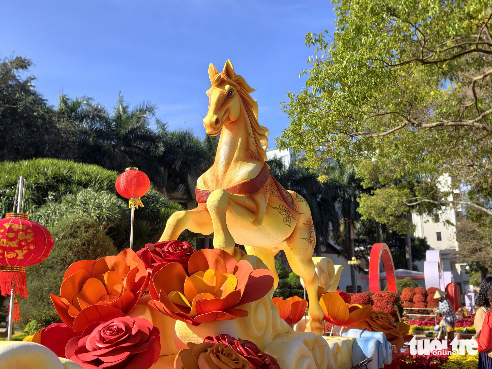 Bát tuấn mã trên đường hoa Buôn Ma Thuột - khi đại ngàn giao hòa sóng biển 2 Bát tuấn mã trên đường hoa Buôn Ma Thuột - khi đại ngàn giao hòa sóng biển - Ảnh 2.