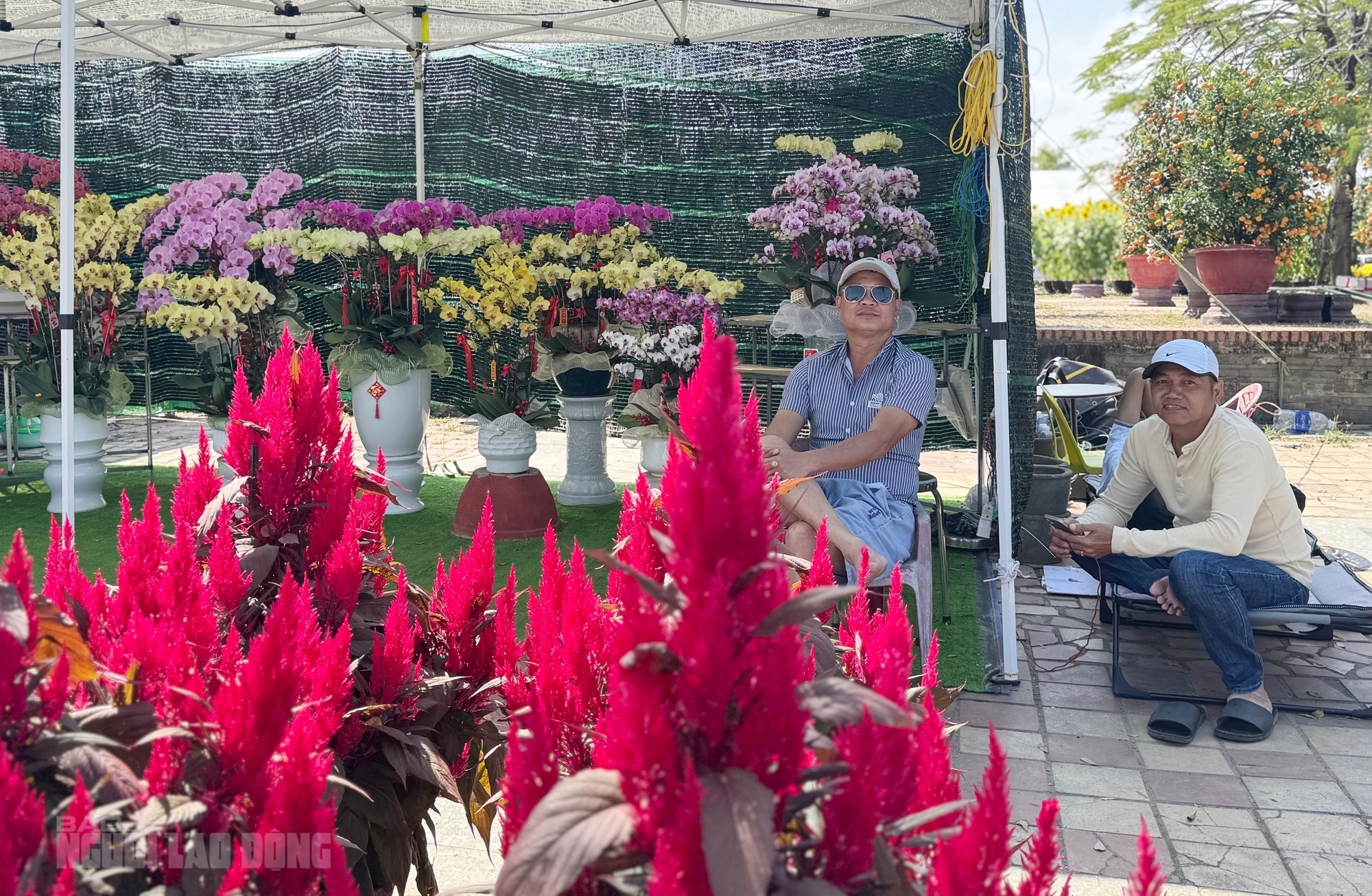 Chợ hoa Đà Nẵng ế ẩm ngày 28 Tết, tiểu thương “đứng ngồi không yên” - Ảnh 3.