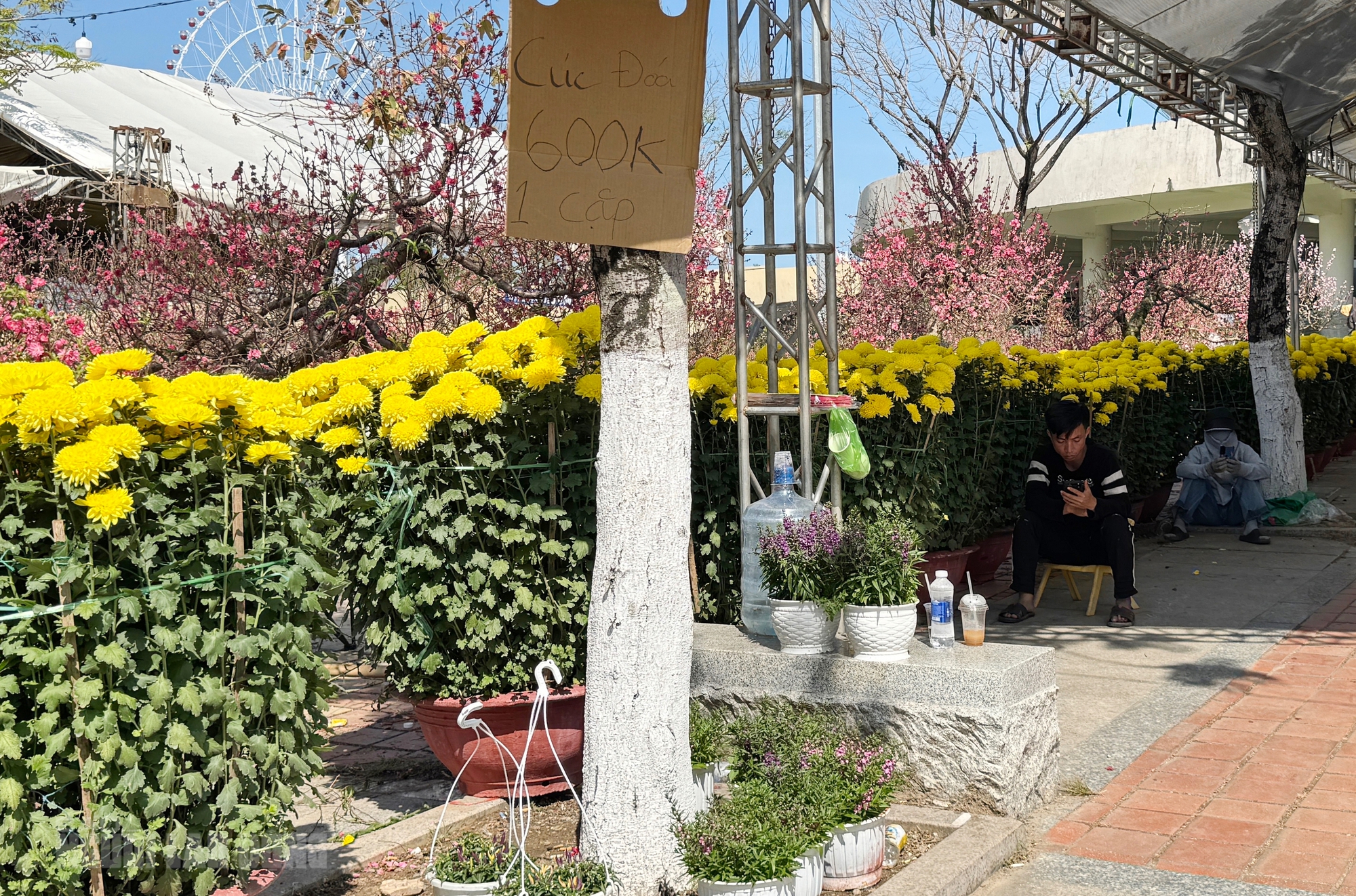 Chợ hoa Đà Nẵng ế ẩm ngày 28 Tết, tiểu thương “đứng ngồi không yên” - Ảnh 4.