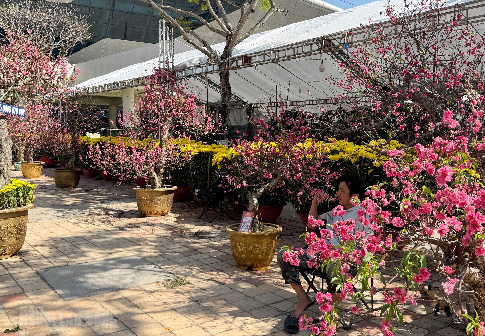 Chợ hoa Đà Nẵng ế ẩm ngày 28 Tết, tiểu thương “đứng ngồi không yên” - Ảnh 5.