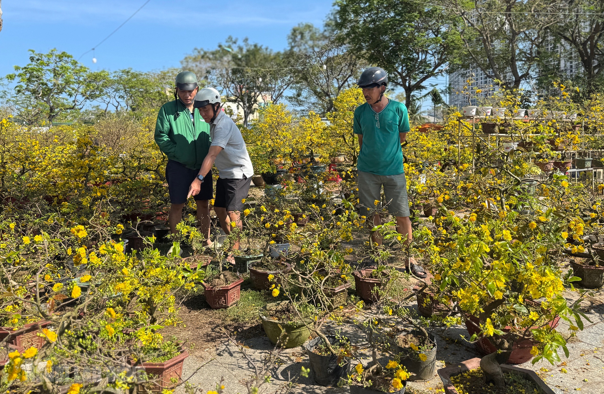 Chợ hoa Đà Nẵng ế ẩm ngày 28 Tết, tiểu thương “đứng ngồi không yên” - Ảnh 11.