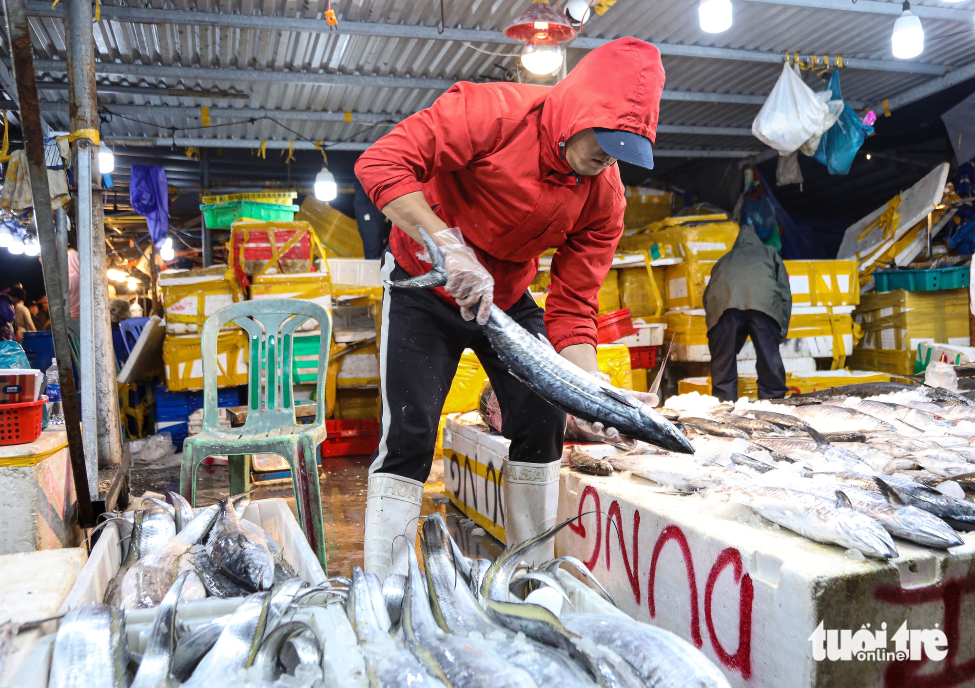 Thị trường cá thu ở Đà Nẵng nhộn nhịp trước Tết, giá thế nào? - Ảnh 6.