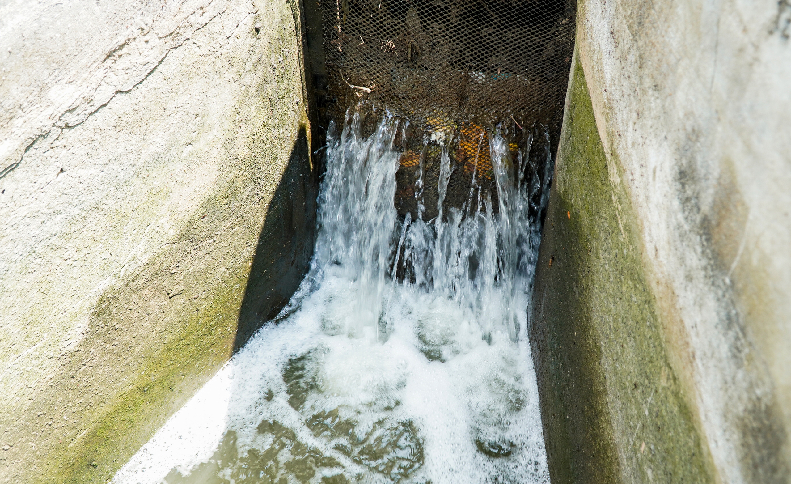 Bí quyết câu cá không cần lưỡi ở Cà Mau 4 câu cá - Ảnh 4.