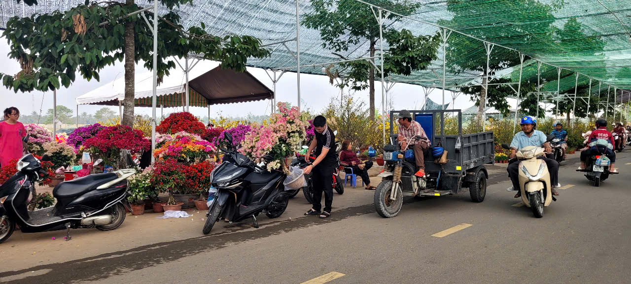 Tình hình kinh tế hoa kiểng tại Đồng Tháp và Cần Thơ năm 2026 - Ảnh 2.