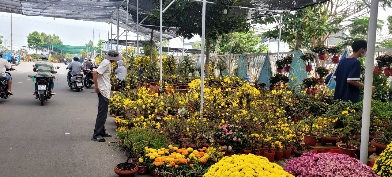 Tình hình kinh tế hoa kiểng tại Đồng Tháp và Cần Thơ năm 2026 - Ảnh 7.