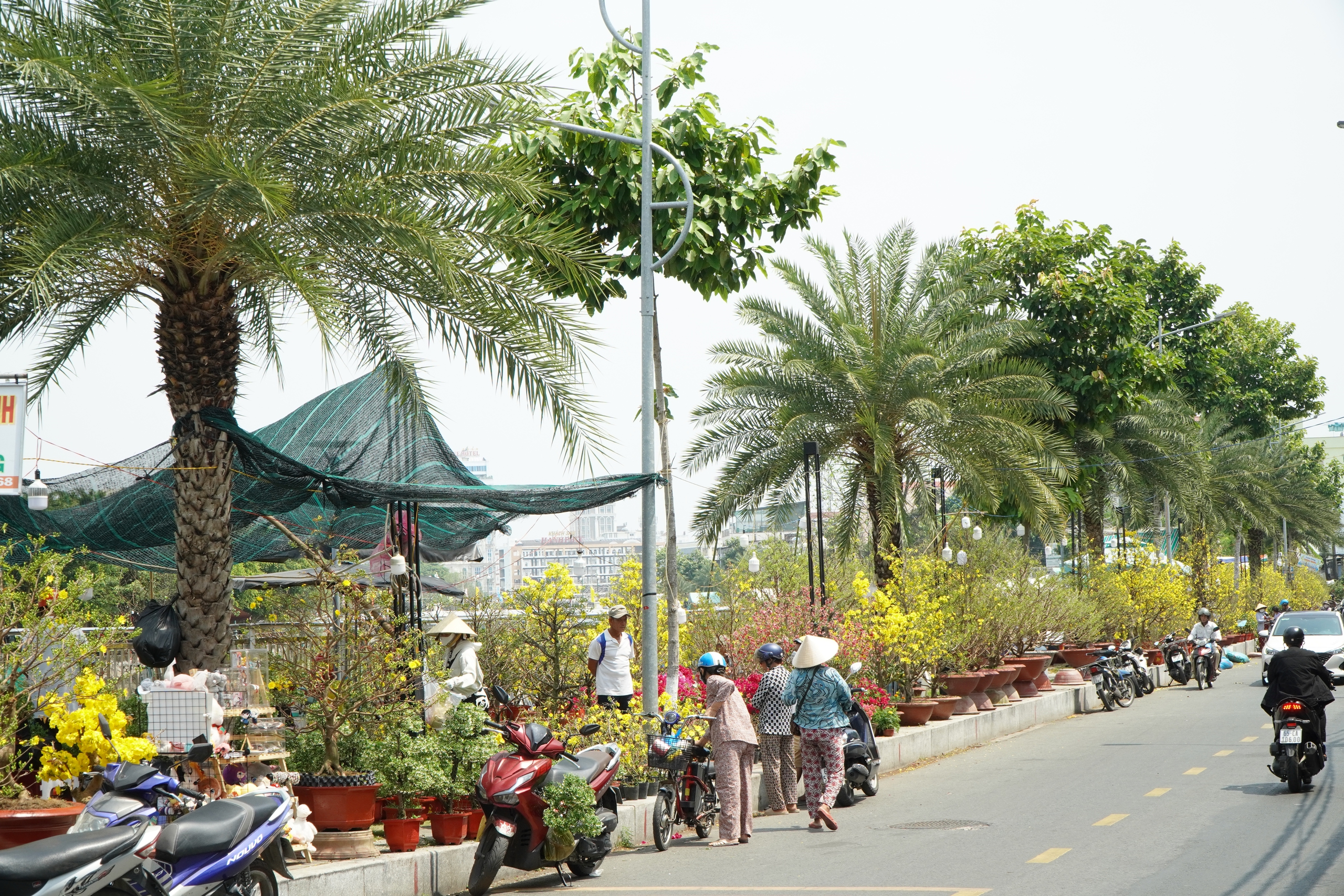 Người bán hoa ở Cần Thơ: “Treo biển giảm giá đau lòng lắm”- Ảnh 2. Người bán hoa ở Cần Thơ: “Treo biển giảm giá đau lòng lắm”- Ảnh 2.