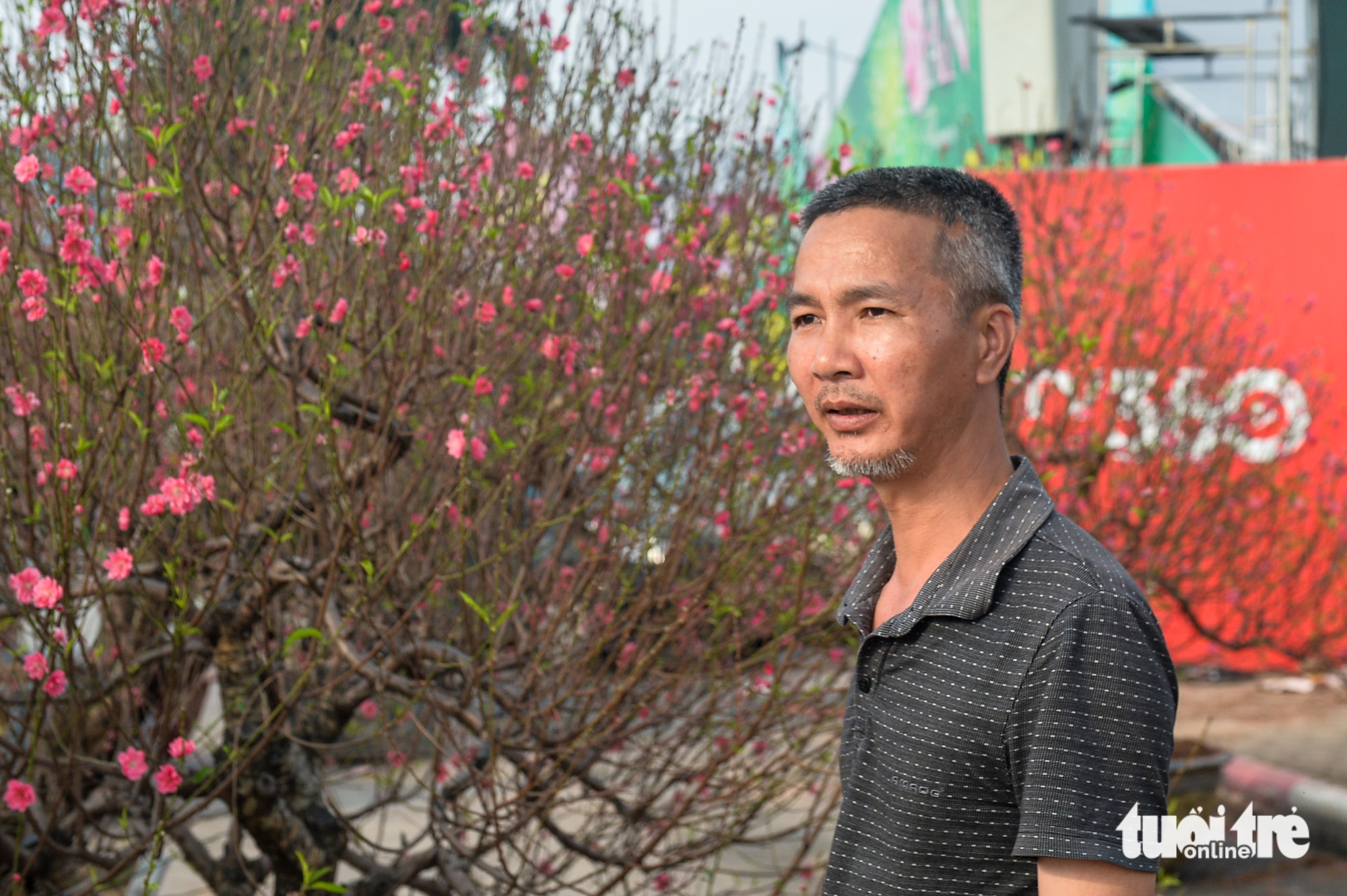 xả hàng - Ảnh 4.