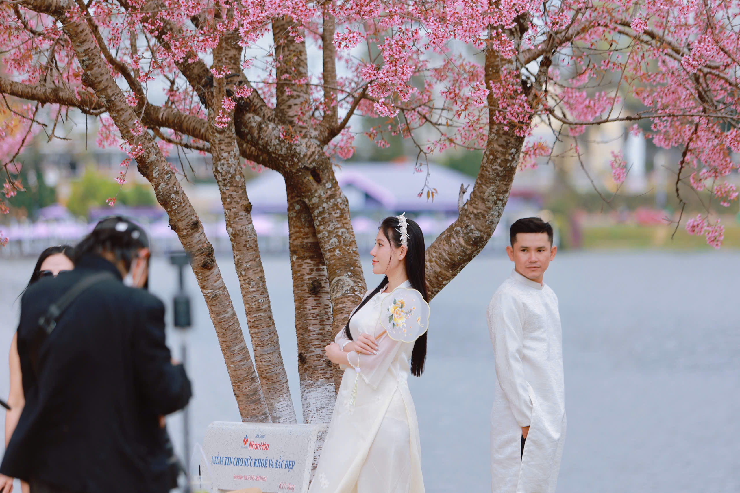 Thợ ảnh dạo Đà Lạt: Bỏ in hình, chuyển sang 'bắn' file, thu tiền triệu mỗi ngày- Ảnh 3.