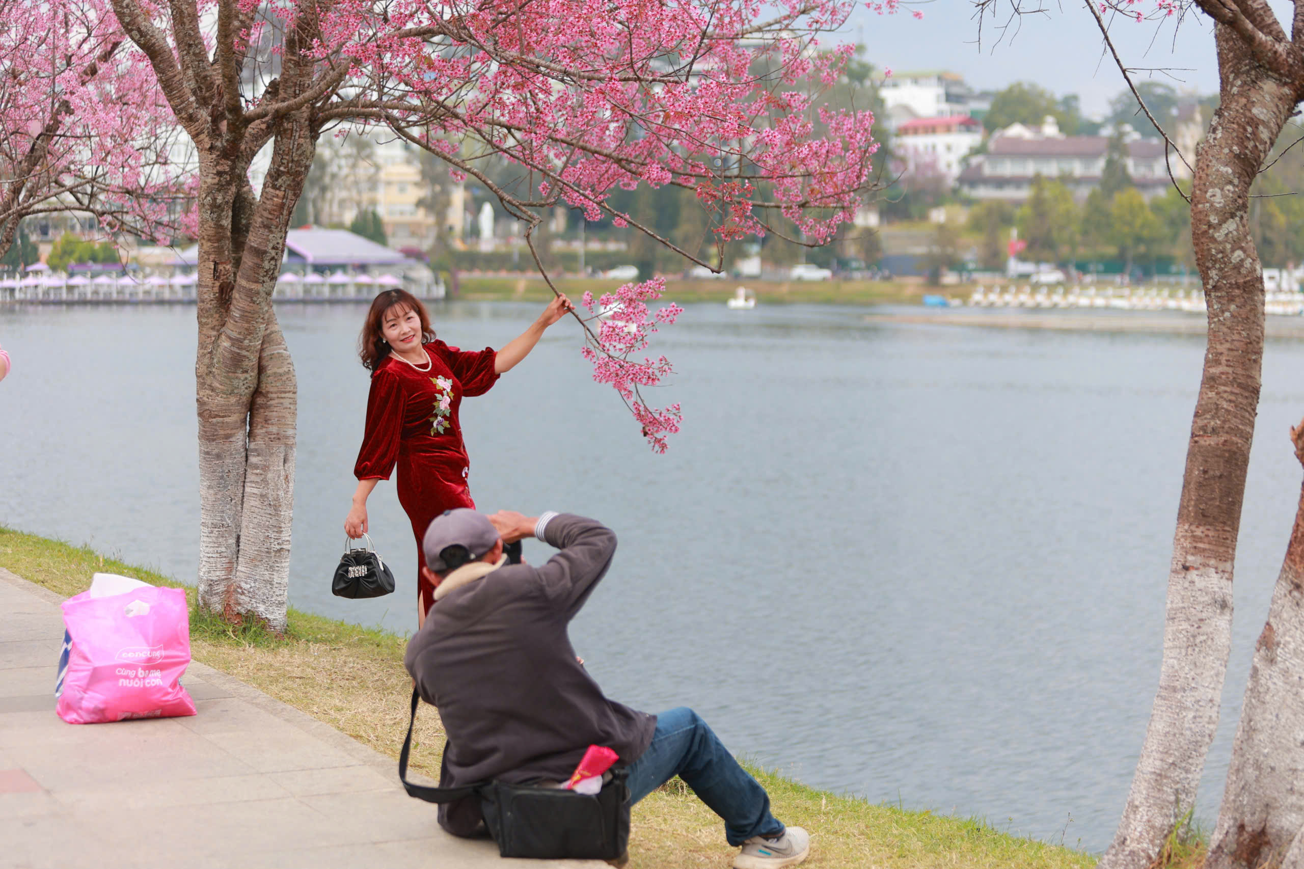 Thợ ảnh dạo Đà Lạt: Bỏ in hình, chuyển sang 'bắn' file, thu tiền triệu mỗi ngày- Ảnh 6.