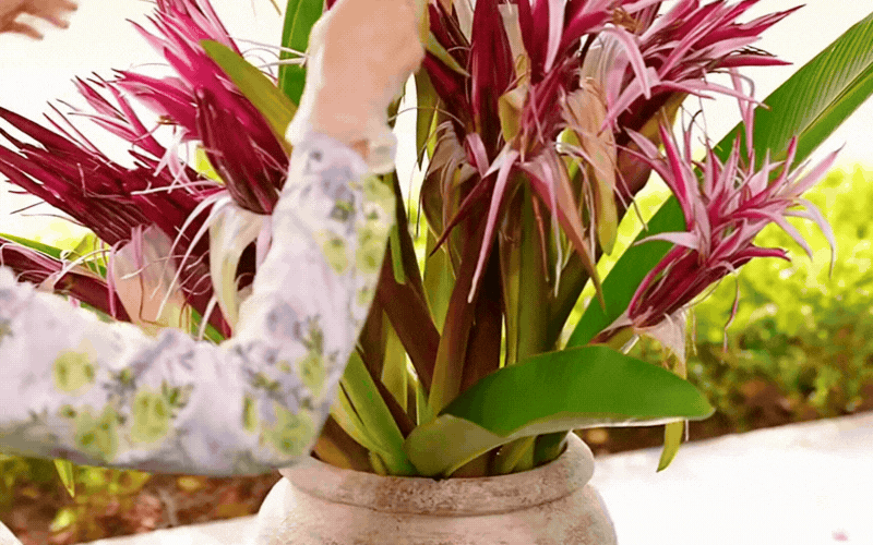 1771170650 444 Chi mot binh hoa nang do nha cua thom nuc