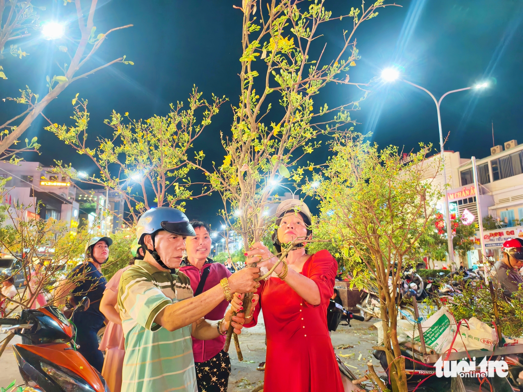 'Chợ' nhánh mai vàng ở Long Xuyên rộn ràng tối 28 Tết, giá rẻ hơn năm trước 5 mai vàng - Ảnh 5.