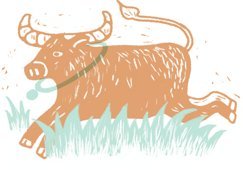 Xếp hạng độ may mắn của 12 con giáp trong năm Bính Ngọ - Ảnh 2.