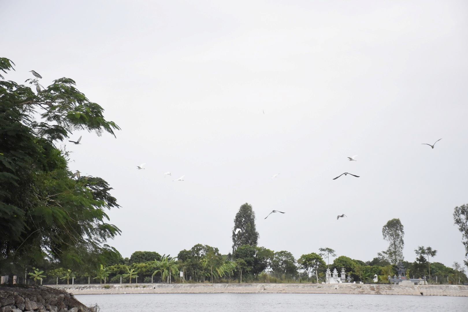 Kỳ bí đảo Cò Hải Dương – 