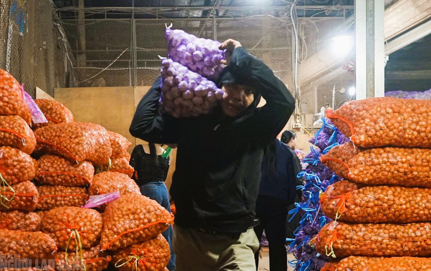 Mưu sinh xuyên đêm ở chợ đầu mối lớn nhất Thanh Hóa ngày cận Tết - Ảnh 6.