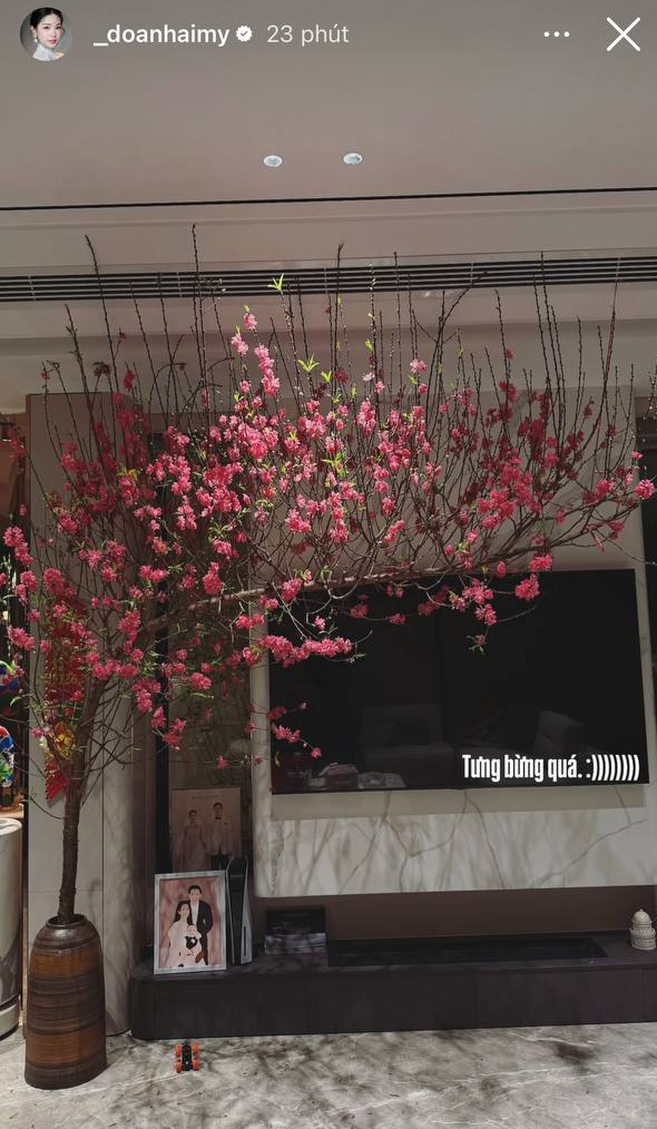 Doãn Hải My Doãn Hải My