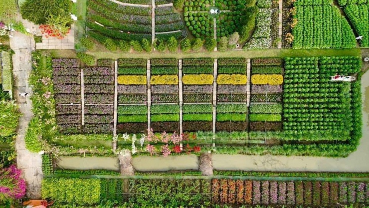 Vườn hoa Mãn Đình Hồng - địa điểm du Xuân team miền Tây không thể bỏ lỡ! 3 (Ảnh: Đi Cùng Phúc)