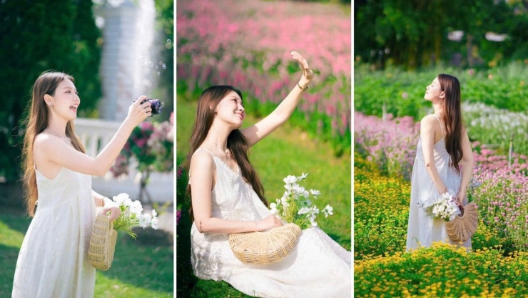 Vườn hoa Mãn Đình Hồng - địa điểm du Xuân team miền Tây không thể bỏ lỡ! 5 Khoảnh khắc 8 giờ sáng là thời điểm "vàng" để màu hoa lên hình rực rỡ nhất. (Ảnh: Huỳnh Nguyễn)