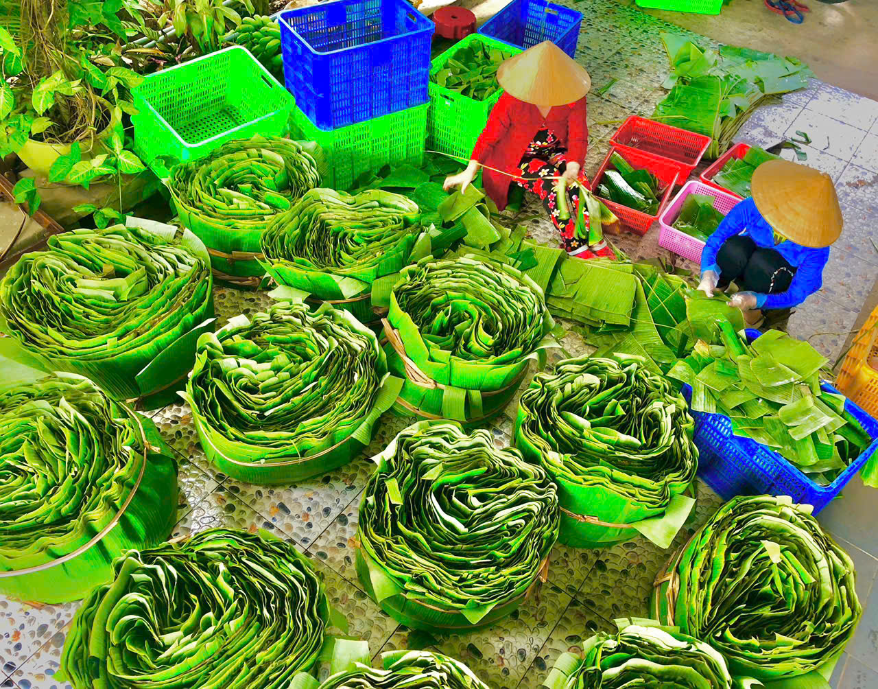 - Ảnh 11. - Ảnh 11.