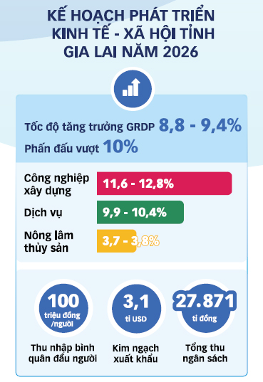 Khi Gia Lai ra biển lớn 4 Gia Lai - Ảnh 4.