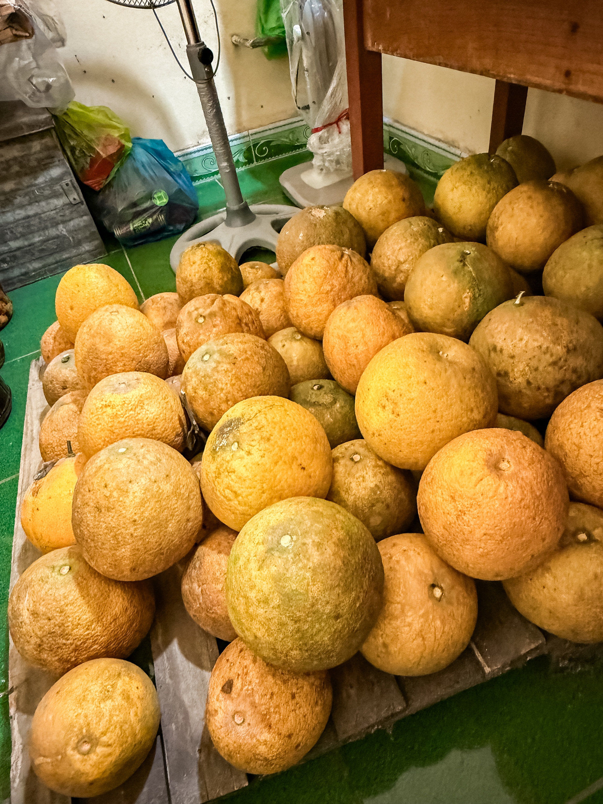 Cảnh tượng nhìn là biết Tết miền Bắc- Ảnh 2.