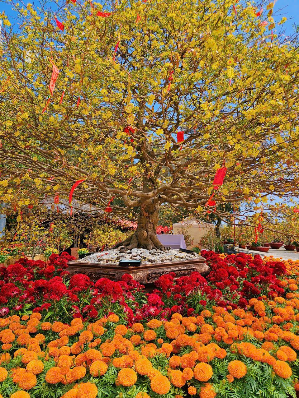 Một ngày du xuân Cần Giờ, trọn niềm vui cho cả gia đình, vẹn ký ức cho nhiều mùa Tết- Ảnh 4.