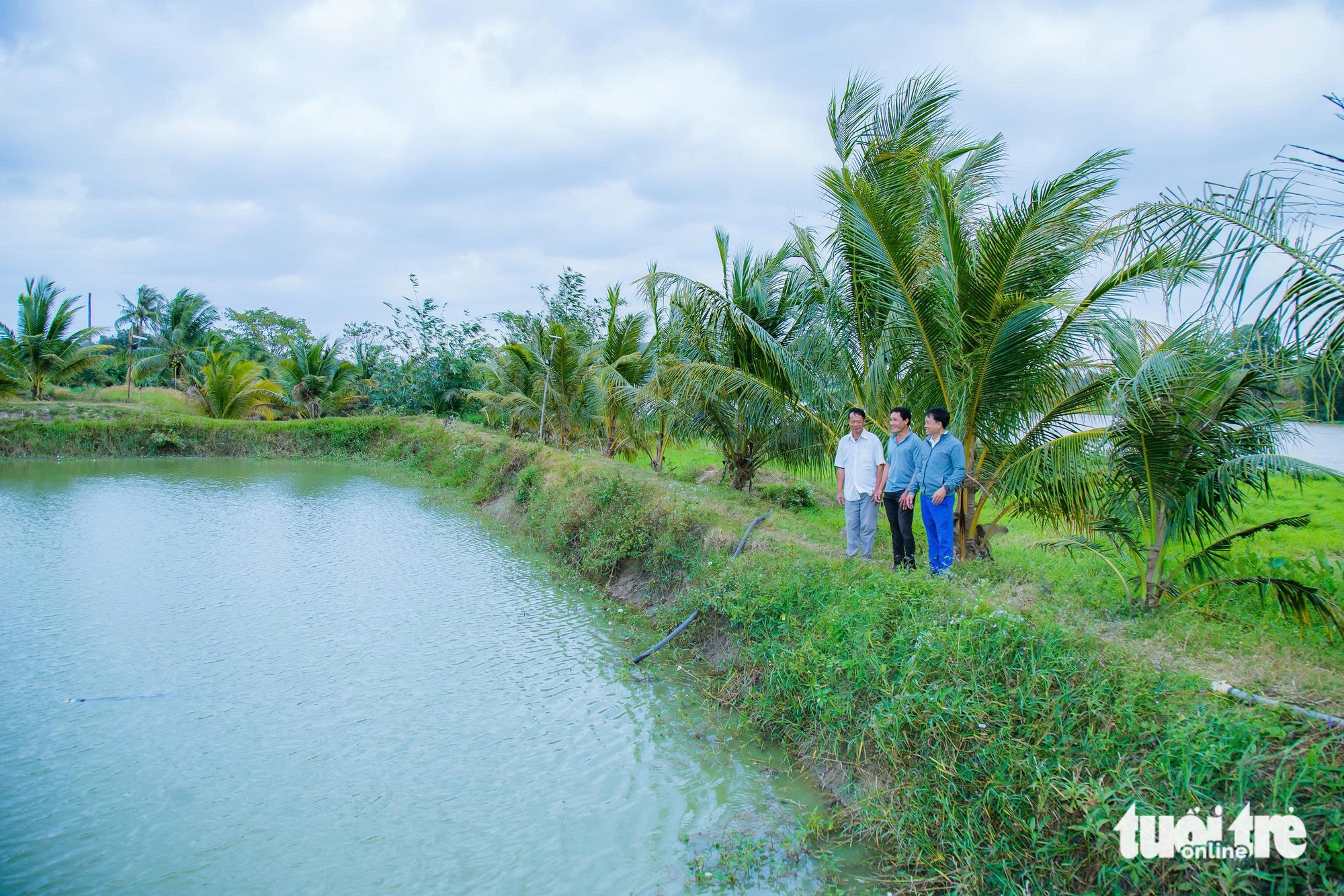 cá lăng - Ảnh 5.