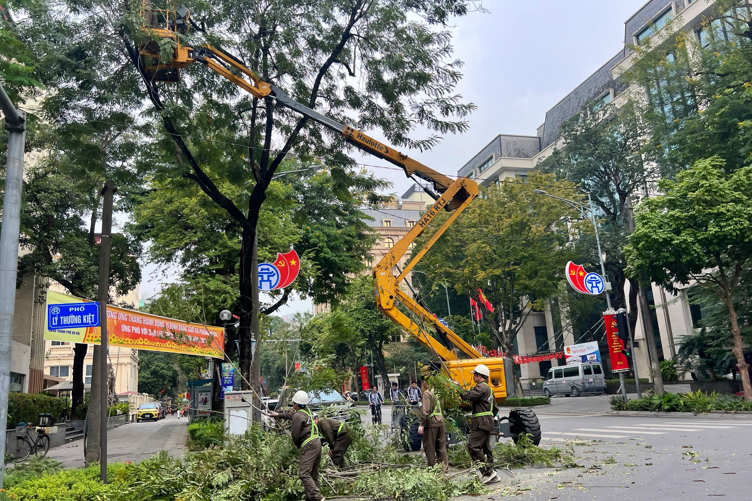 Đề xuất di dời và chặt hạ cây xanh tại Hà Nội giai đoạn 2026 - 2030 - Ảnh 2. Đề xuất di dời và chặt hạ cây xanh tại Hà Nội giai đoạn 2026 - 2030 - Ảnh 2.