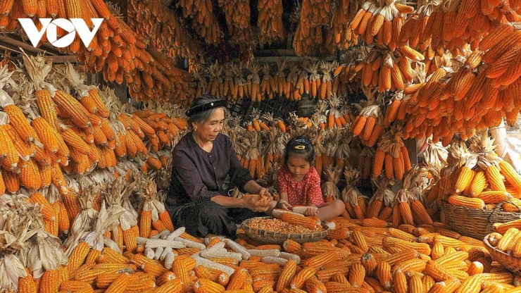 Tết ở làng du lịch cộng đồng tốt nhất thế giới Quỳnh Sơn 4 Mùa Xuân đang về với ngôi làng du lịch Quỳnh Sơn và cùng hương sắc mùa Xuân, những tình cảm thật thà, trân quý của con người nơi đây như được lan tỏa mạnh mẽ hơn tới du khách thập phương.