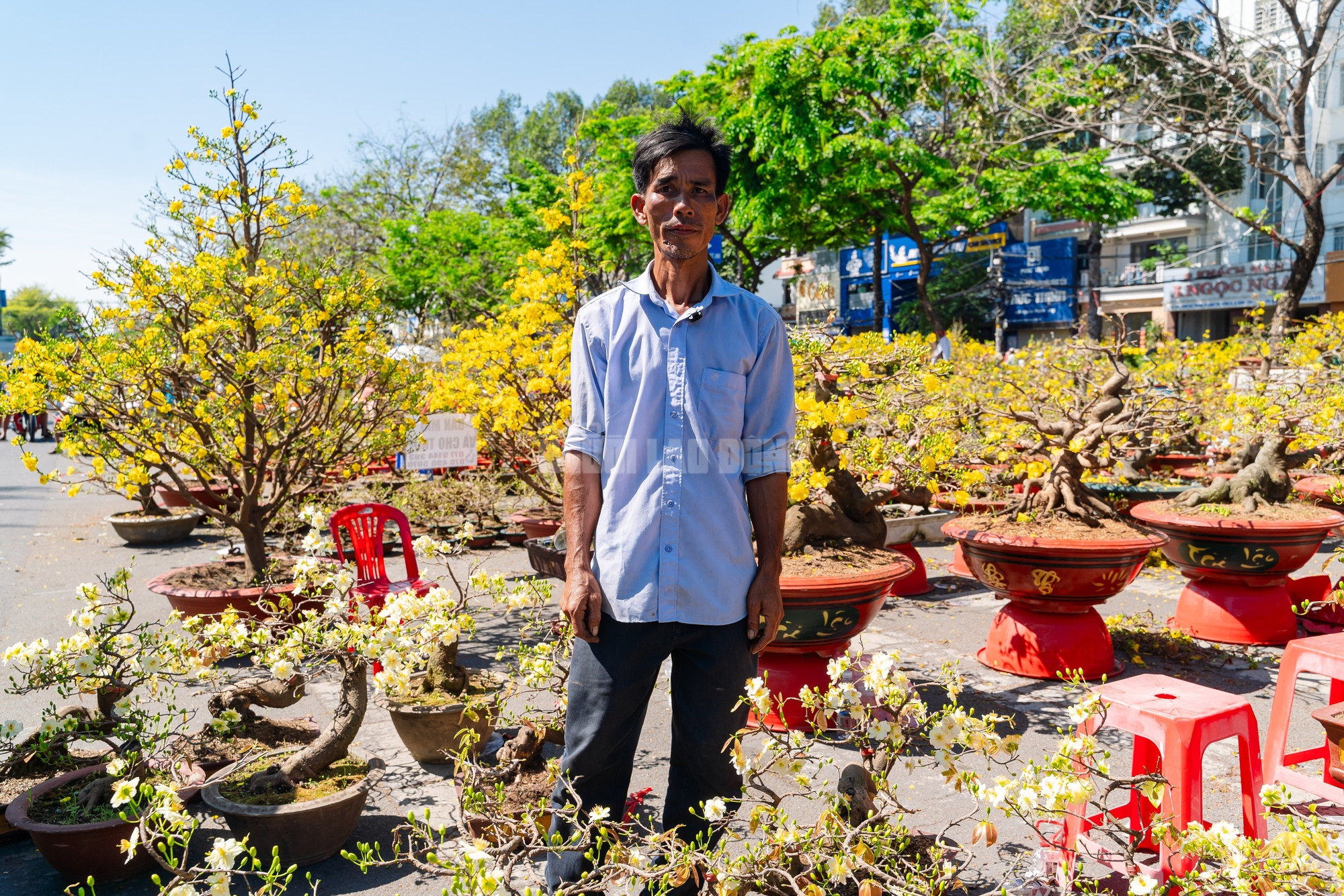 VIDEO: Xả hoa Tết giá 100.000 đồng vắng khách vào trưa 29 Tết tại TPHCM - Ảnh 2.