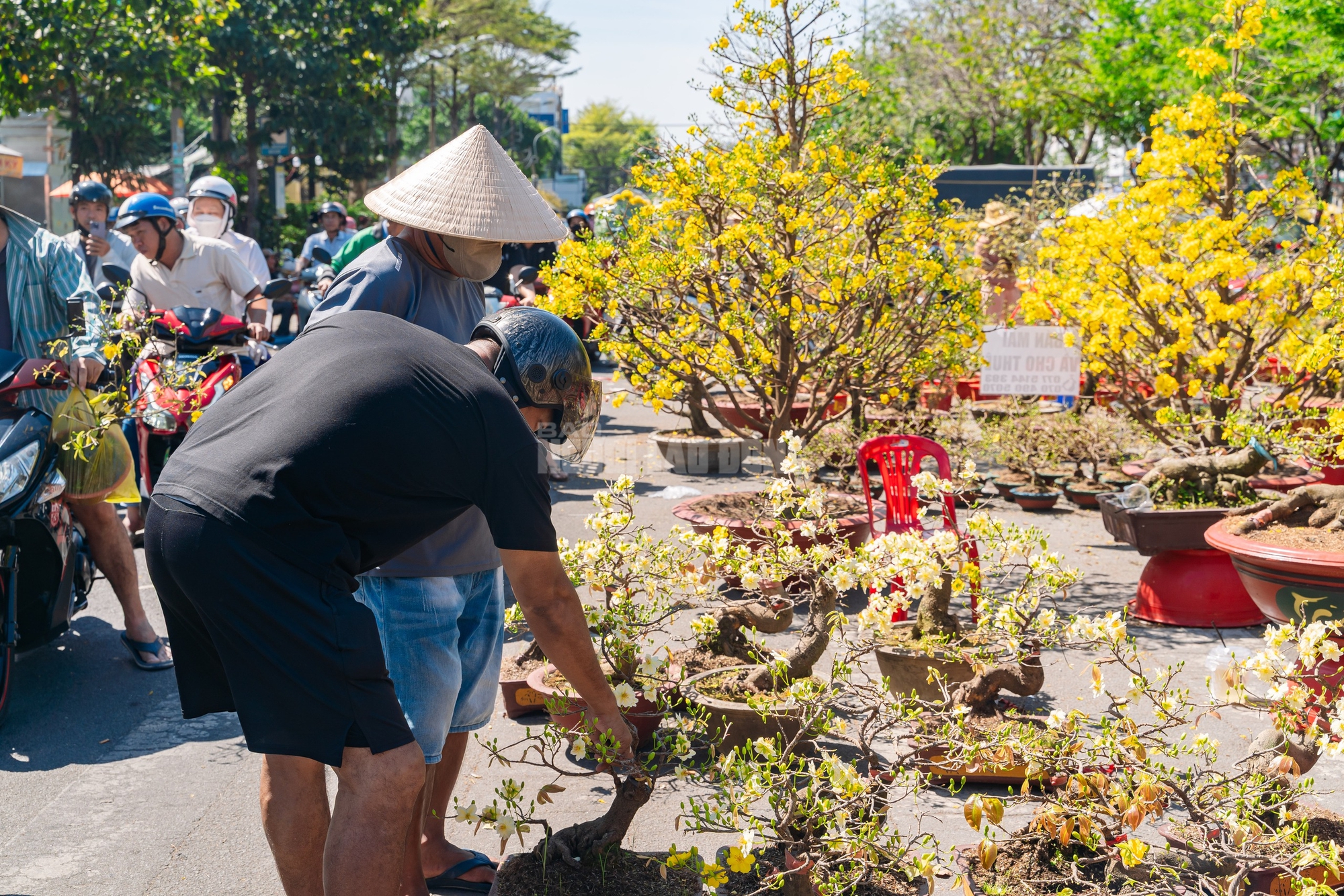 VIDEO: Xả hoa Tết giá 100.000 đồng vắng khách vào trưa 29 Tết tại TPHCM - Ảnh 3.