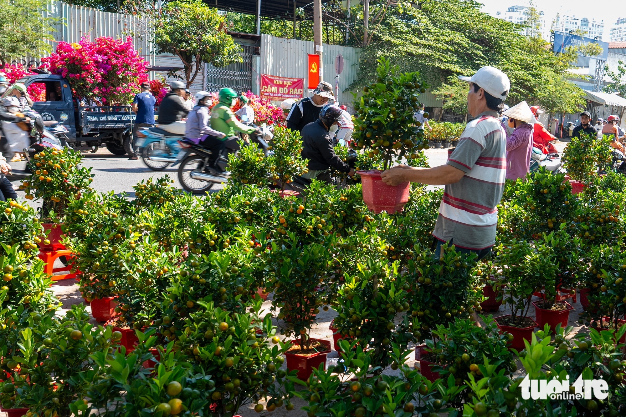 chợ hoa - Ảnh 3.