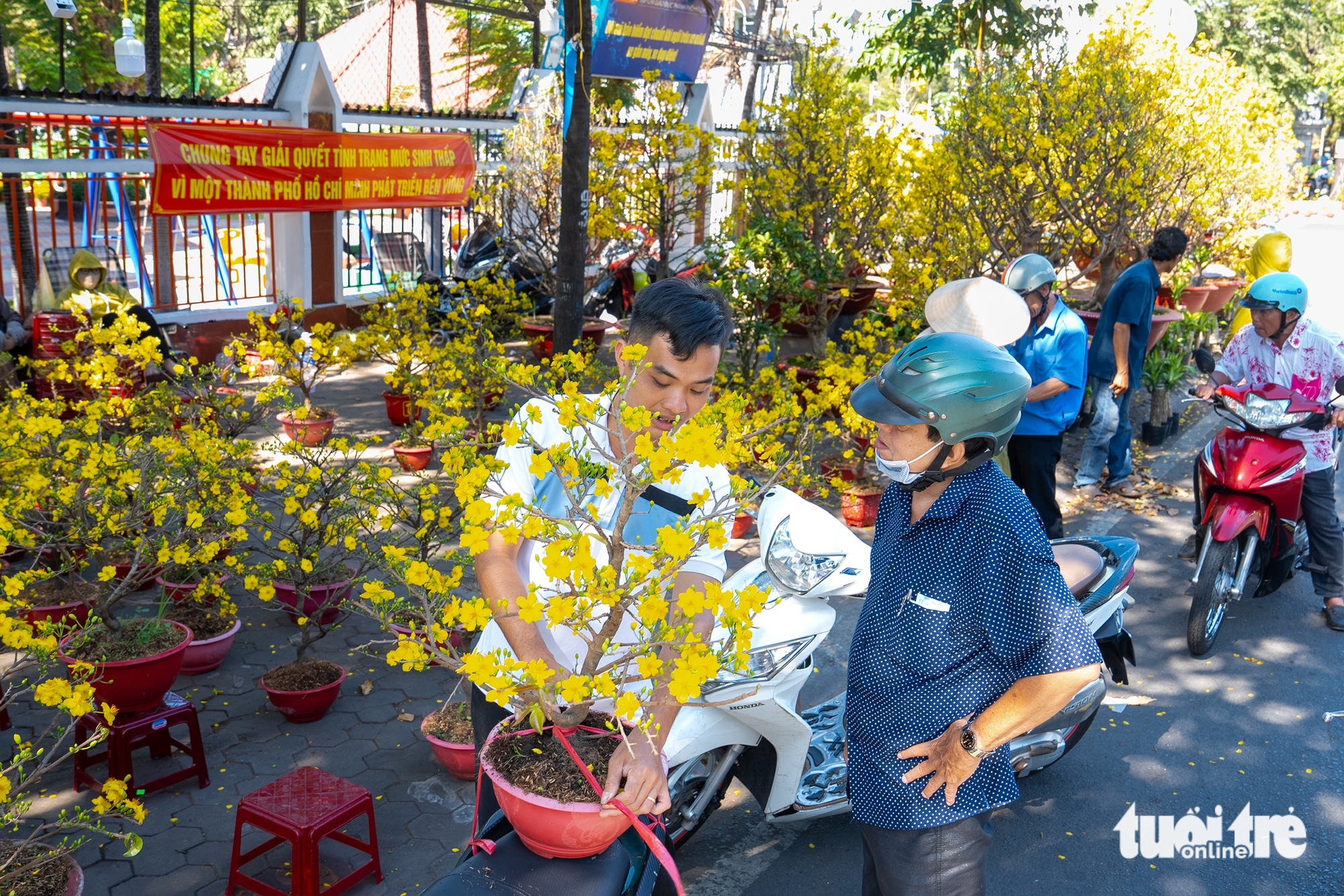 chợ hoa - Ảnh 4.